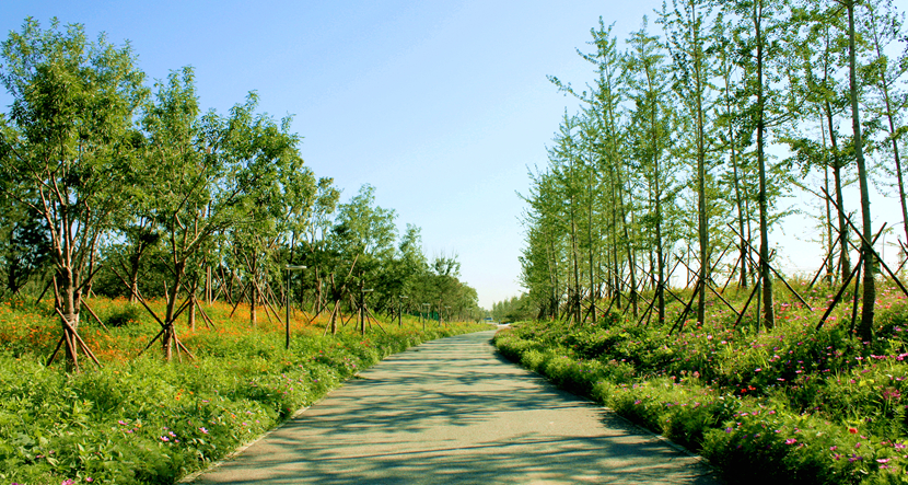 北京·環(huán)渤海高端總部基地北部城市濕地公園